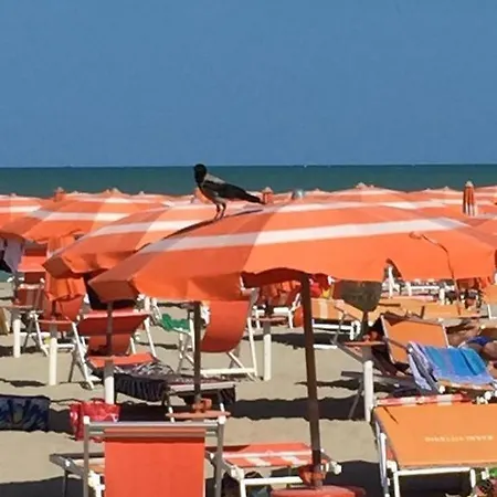 Mare 